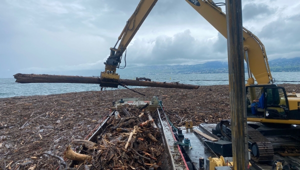 Port-Valais: entre 600 et 1000 mètres cubes de bois évacués 